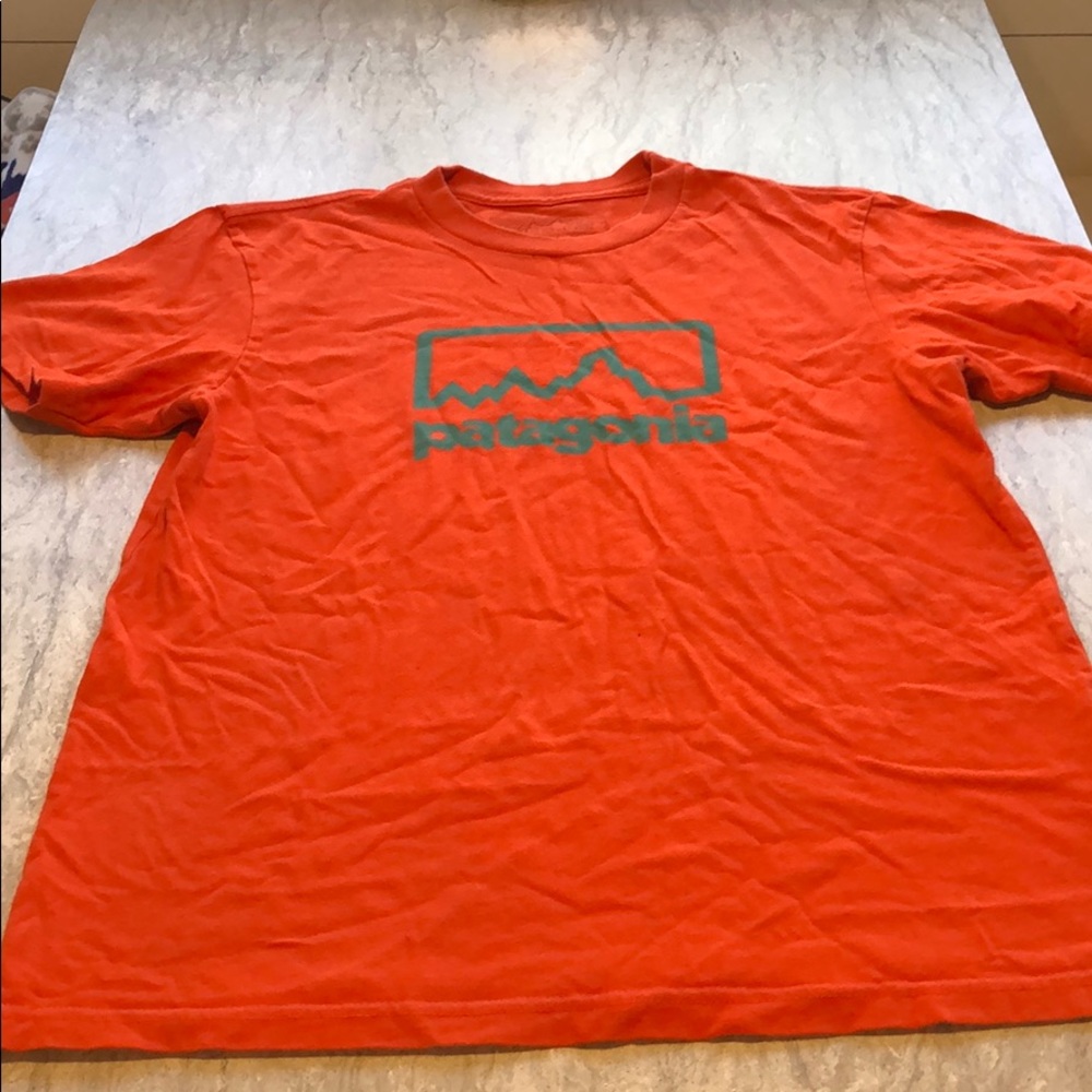 Men’s Patagonia T-Shirt